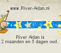 Baby Verjaardag Ticker